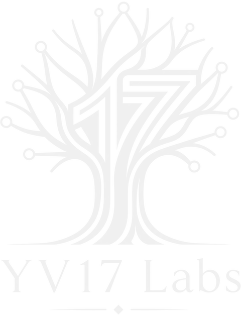 YV17Labs